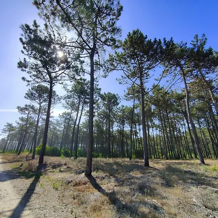 Casa Amarela Hébergement de vacances