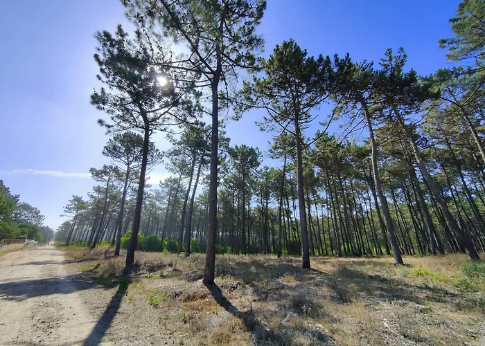 Casa Amarela Hébergement de vacances