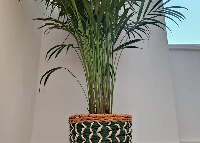 Casa Amarela Hébergement de vacances Cortegaça